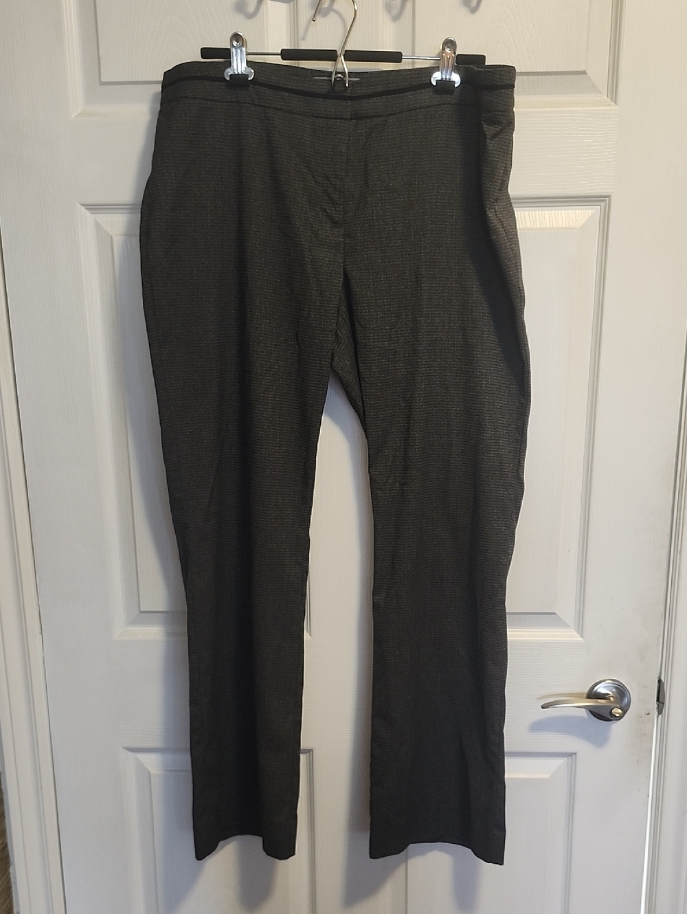 le chateau Straight Leg Dress Pants in Charcoal